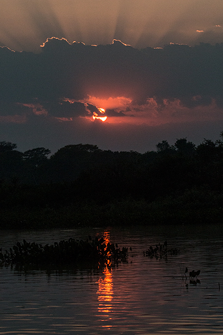 Cuiabá River Sunrise, Porto Jofre, Brazil