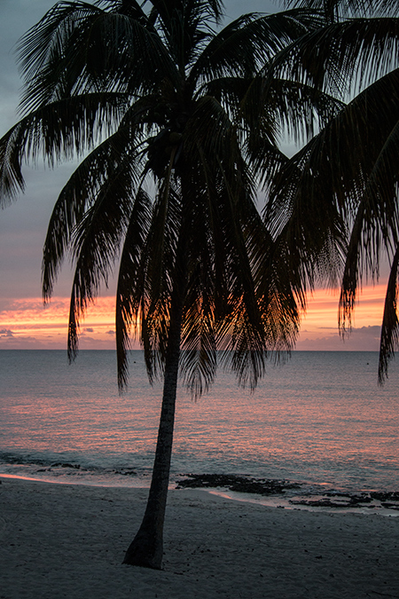 Sunset, Hotel Mar�a la Gorda, Guanahacabibes Peninsula, Cuba