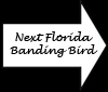 Next Sparrow Drive Banding Bird